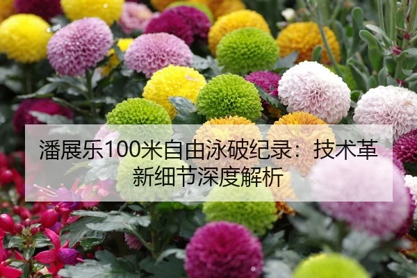 潘展乐100米自由泳破纪录：技术革新细节深度解析