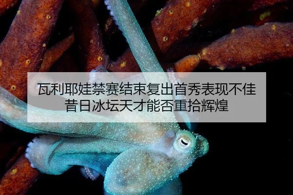 瓦利耶娃禁赛结束复出首秀表现不佳 昔日冰坛天才能否重拾辉煌